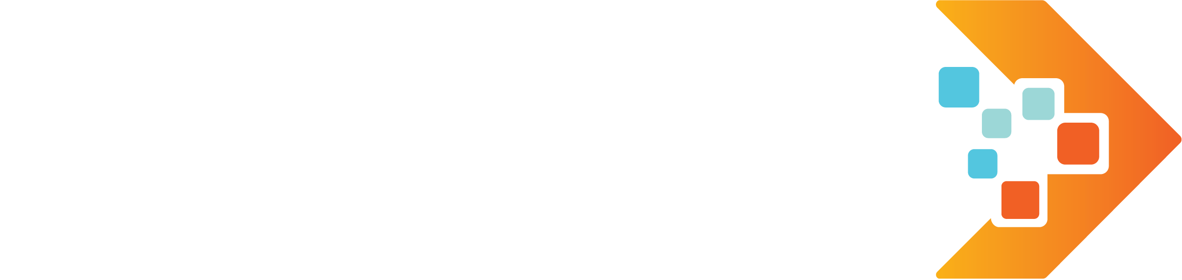 Precision Cybertechnologies & Digital Solutions (PCDS) logo, white reversed version